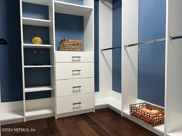 spacious closet with hardwood / wood-style floors