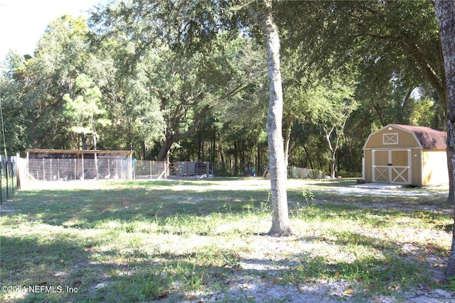 view of yard with a shed