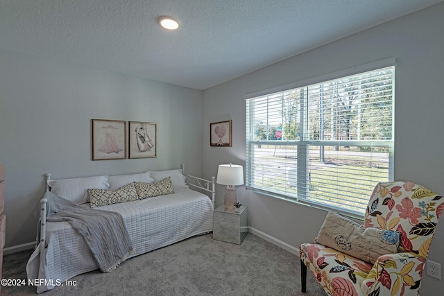 carpeted bedroom with a textured ceiling