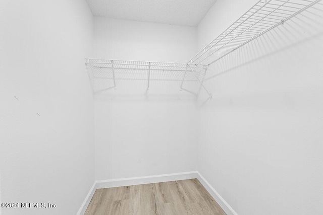 walk in closet with hardwood / wood-style floors