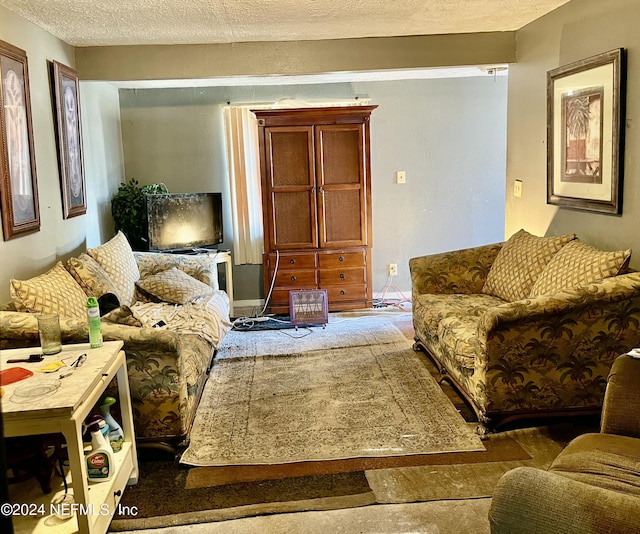 living room with a textured ceiling