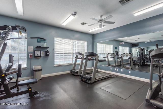 workout area featuring a wealth of natural light, ceiling fan, and a textured ceiling