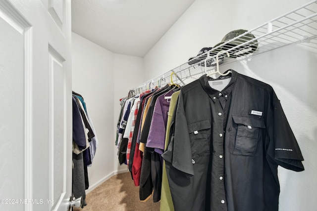 walk in closet with light carpet