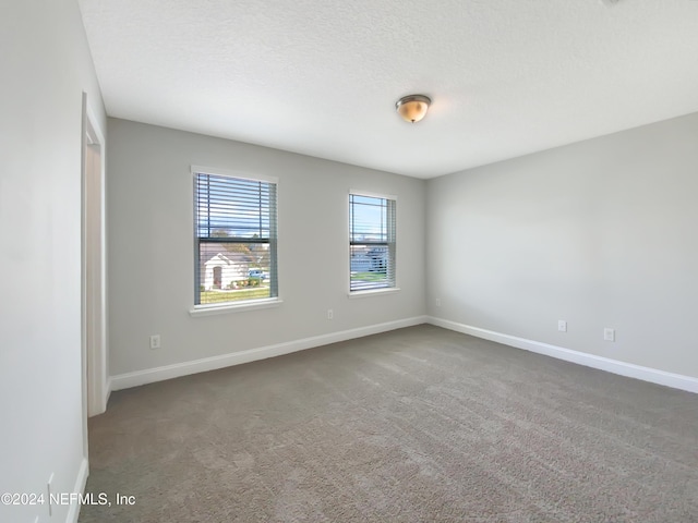 empty room featuring carpet and a textured ceiling