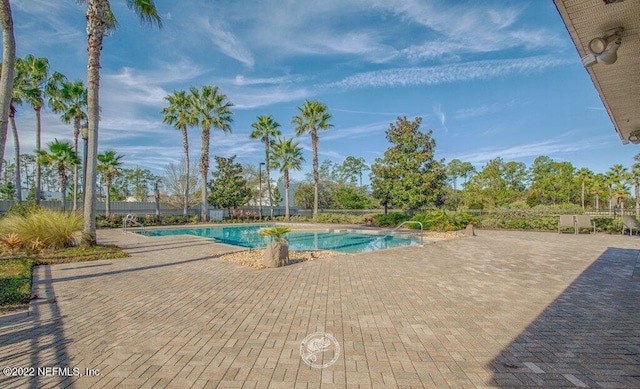 view of pool with a patio