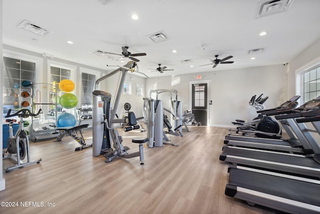 exercise room featuring ceiling fan and light hardwood / wood-style flooring