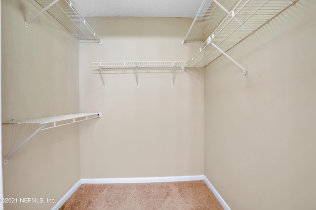 spacious closet with light carpet