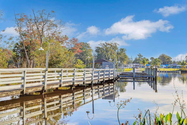 dock area with a water view