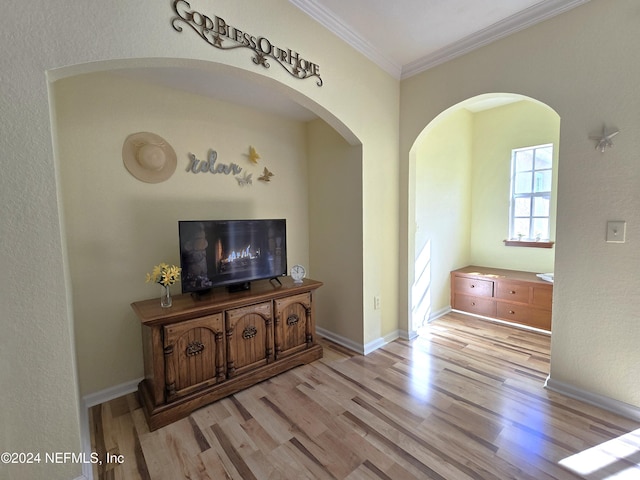 living room featuring crown molding and light wood-type flooring