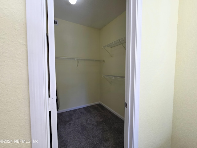 spacious closet featuring carpet floors