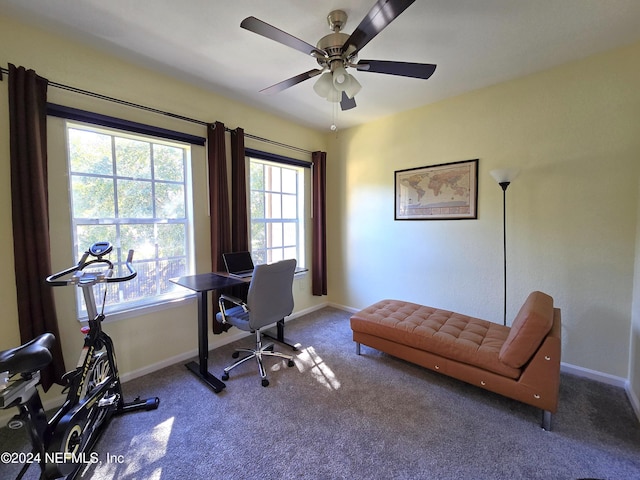 office featuring carpet flooring and ceiling fan