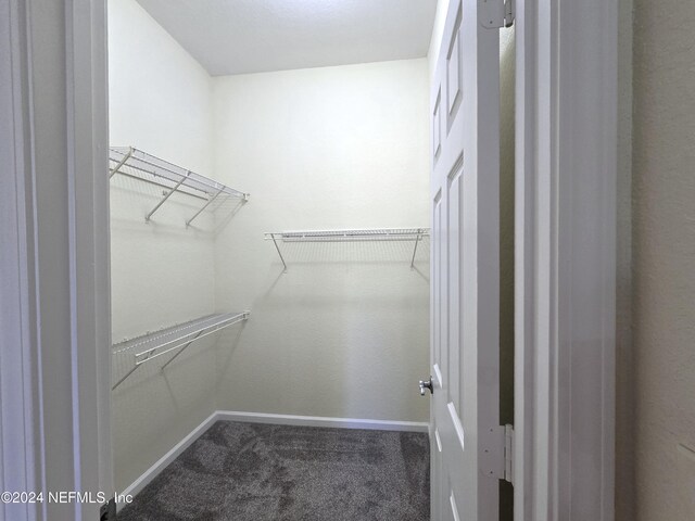 walk in closet featuring carpet flooring