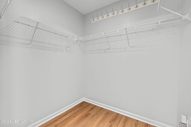 spacious closet featuring hardwood / wood-style floors