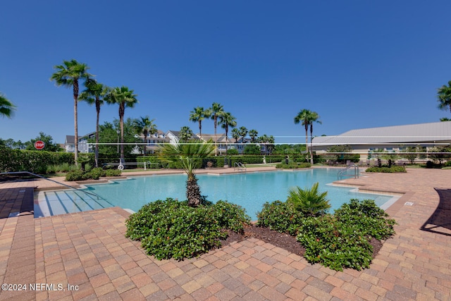 view of swimming pool featuring a patio