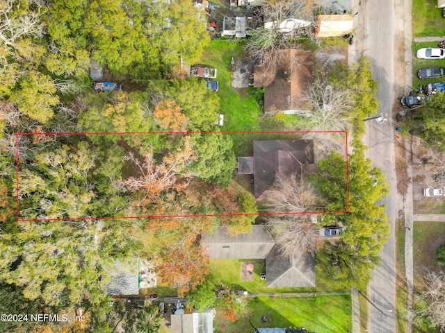 3033 Lowell Ave, Jacksonville, FL 32254 - photo 38