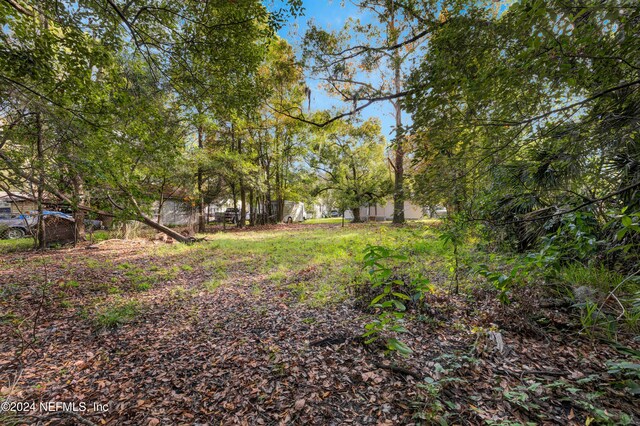 3033 Lowell Ave, Jacksonville, FL 32254 - photo 39