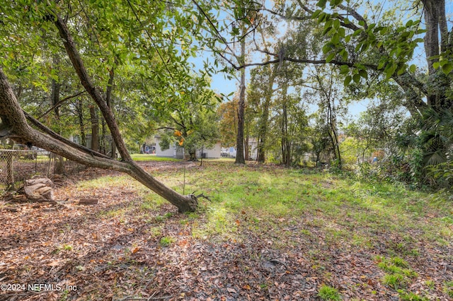 3033 Lowell Ave, Jacksonville, FL 32254 - photo 40