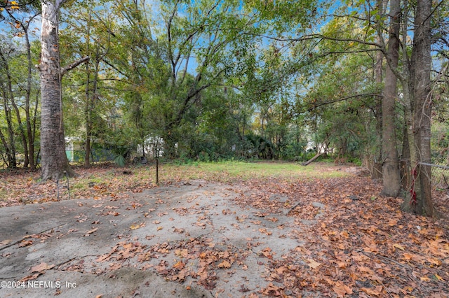 3033 Lowell Ave, Jacksonville, FL 32254 - photo 41