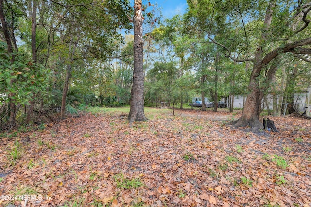 3033 Lowell Ave, Jacksonville, FL 32254 - photo 42