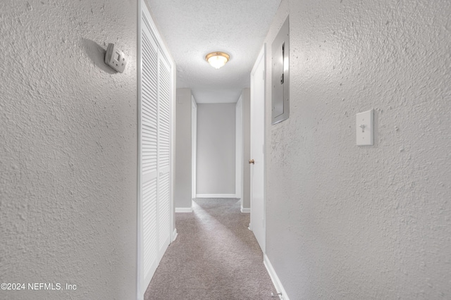 hall with electric panel, carpet floors, and a textured ceiling