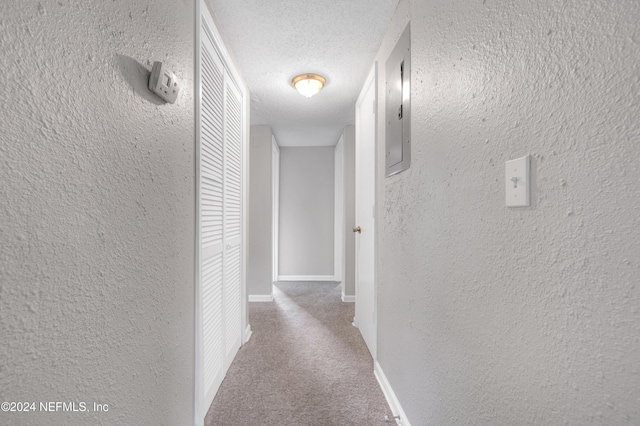 3033 Lowell Ave, Jacksonville, FL 32254 - photo 20