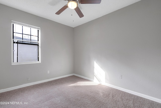 3033 Lowell Ave, Jacksonville, FL 32254 - photo 26