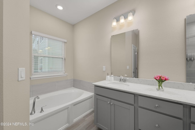 bathroom featuring vanity and a bathtub