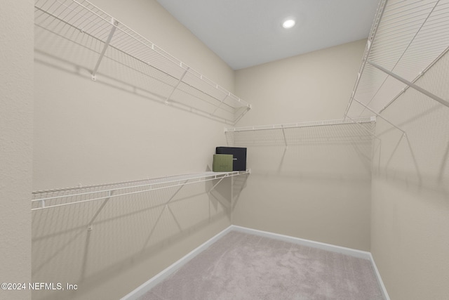 spacious closet with carpet