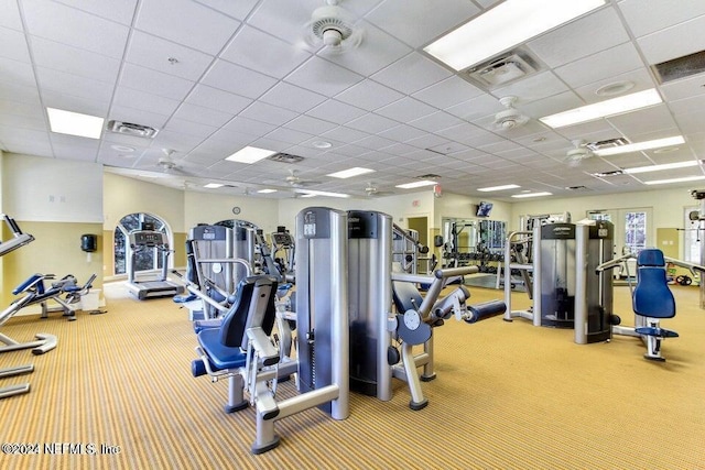 exercise room featuring a paneled ceiling and light colored carpet