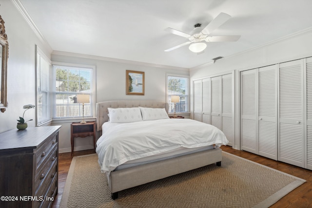 bedroom featuring ceiling fan, dark hardwood / wood-style flooring, crown molding, and multiple closets