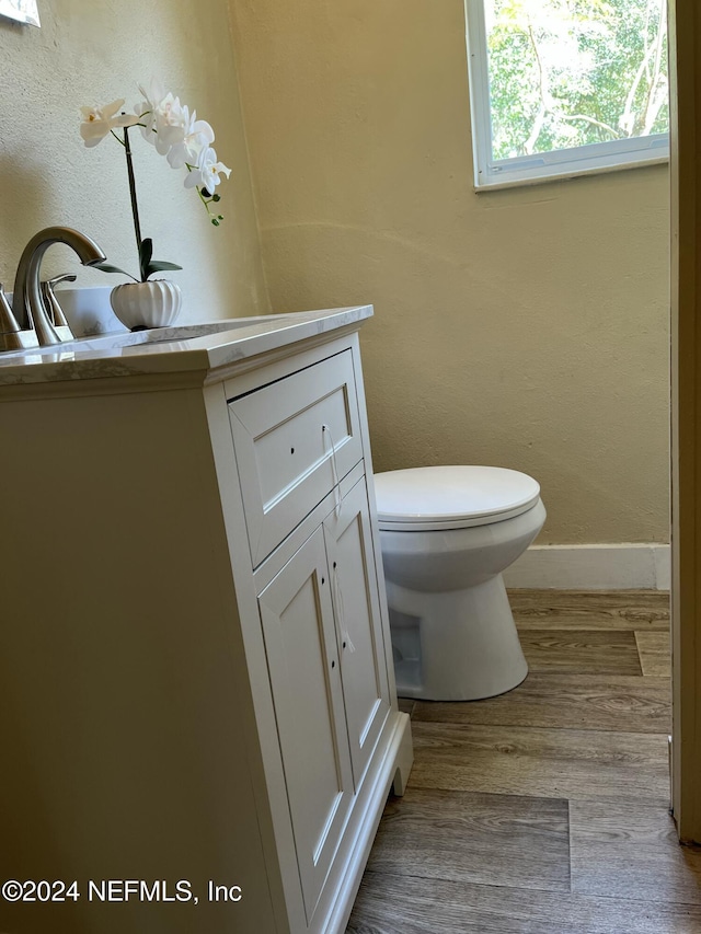 bathroom with hardwood / wood-style floors, vanity, and toilet