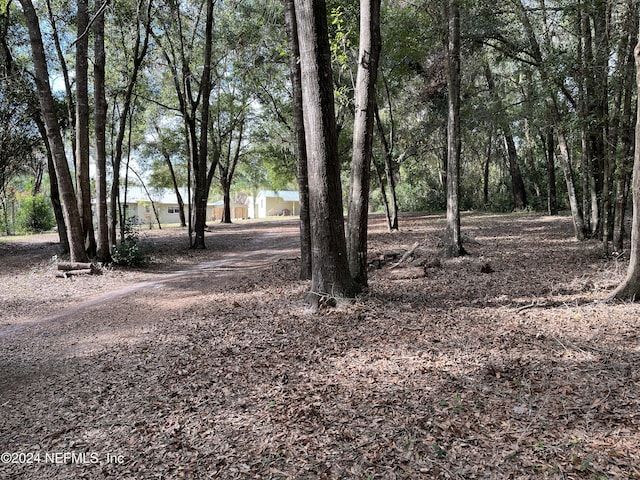 714 Hunter Ave, Crescent City, FL 32112 - photo 33