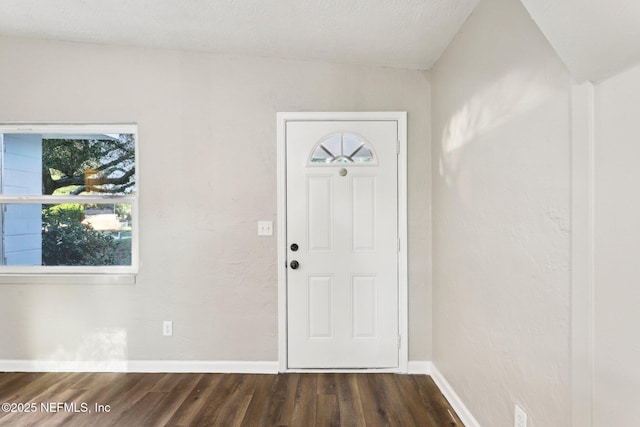 entryway with dark hardwood / wood-style floors and plenty of natural light