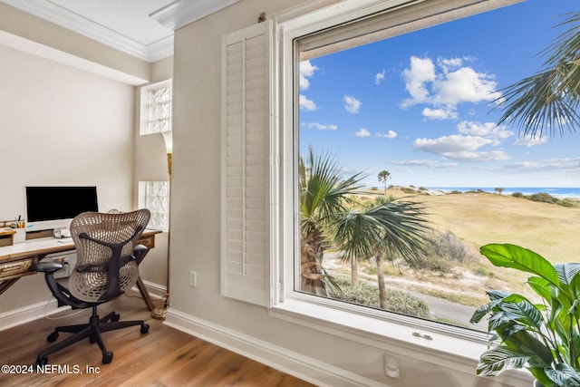 office area with wood-type flooring, ornamental molding, and a healthy amount of sunlight