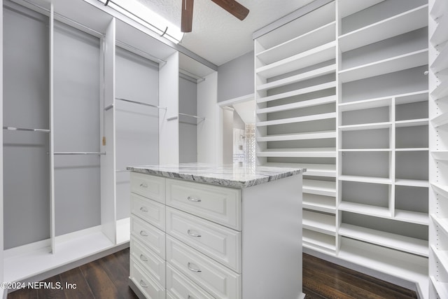 walk in closet with ceiling fan and dark wood-type flooring