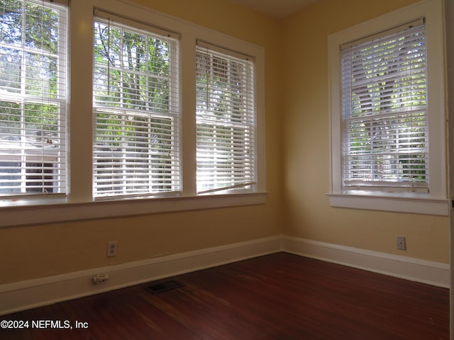 unfurnished room with wood-type flooring and a wealth of natural light