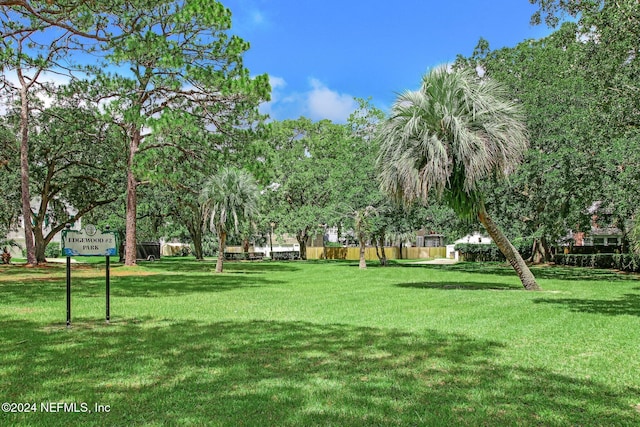 view of community with a yard