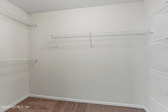 spacious closet with carpet floors