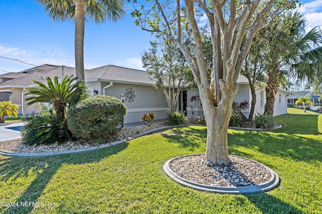 ranch-style home with a front lawn