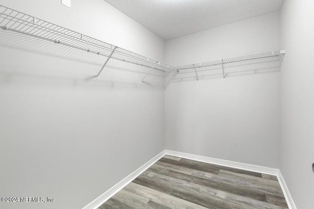 walk in closet with hardwood / wood-style flooring