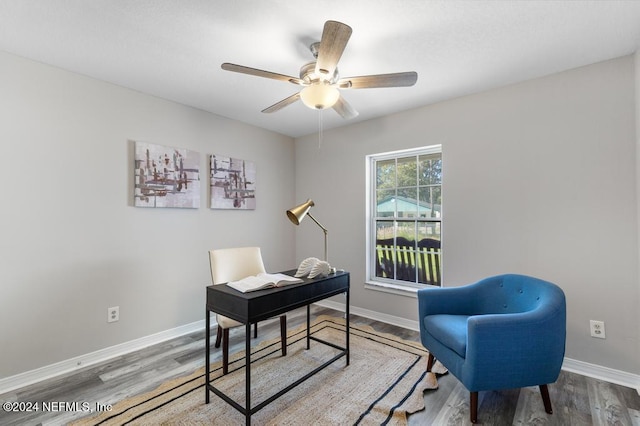 office featuring hardwood / wood-style flooring and ceiling fan