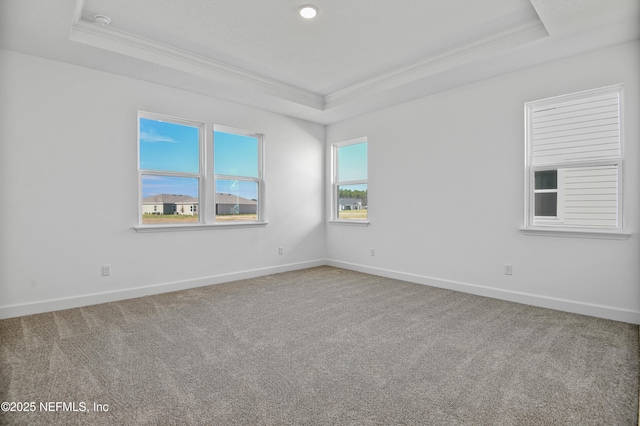 carpeted empty room featuring baseboards, a tray ceiling, and crown molding