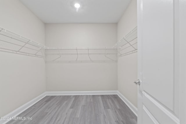 spacious closet with wood-type flooring