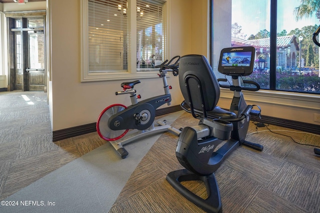 exercise room featuring carpet flooring and a wealth of natural light