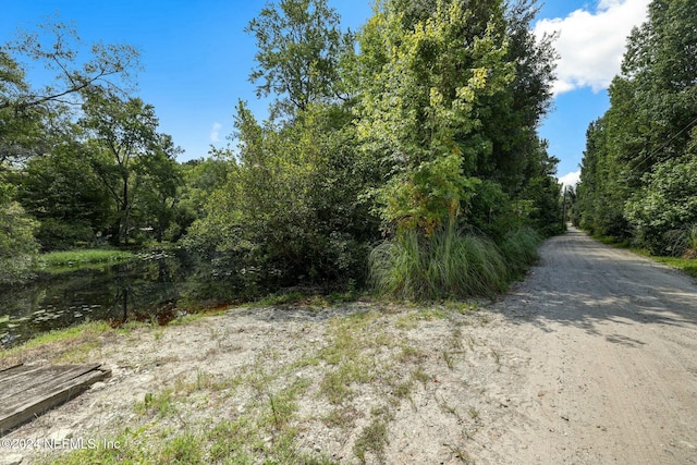 3980 Scenic Dr, Middleburg, FL 32068 - photo 1