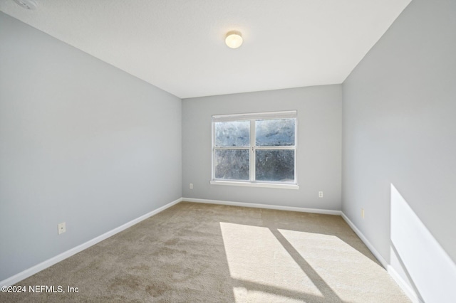 spare room featuring light carpet