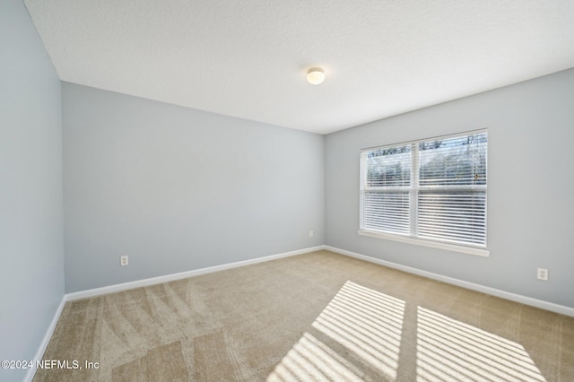 carpeted spare room with a textured ceiling