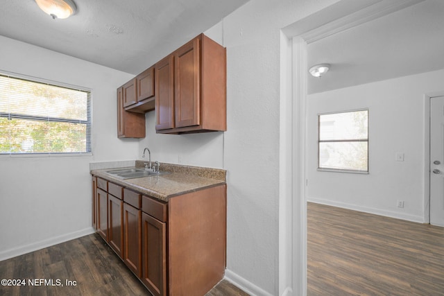 kitchen with a wealth of natural light, sink, and dark wood-type flooring