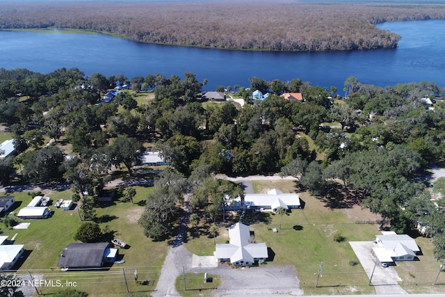 0 3rd Ave, Welaka FL, 32189 land for sale