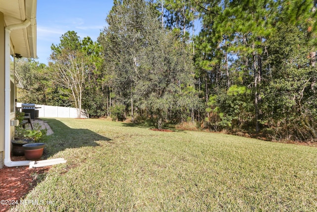 35 Sunlight Way, Saint Augustine, FL 32092 - view of yard